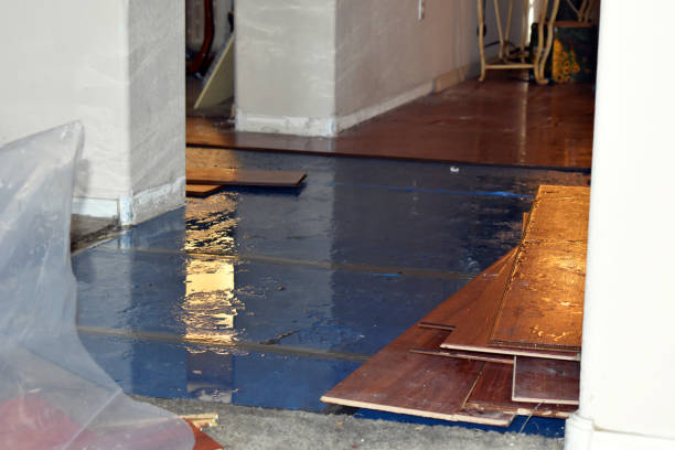 Professional Basement Flood Cleanup technician working in Vina, AL
